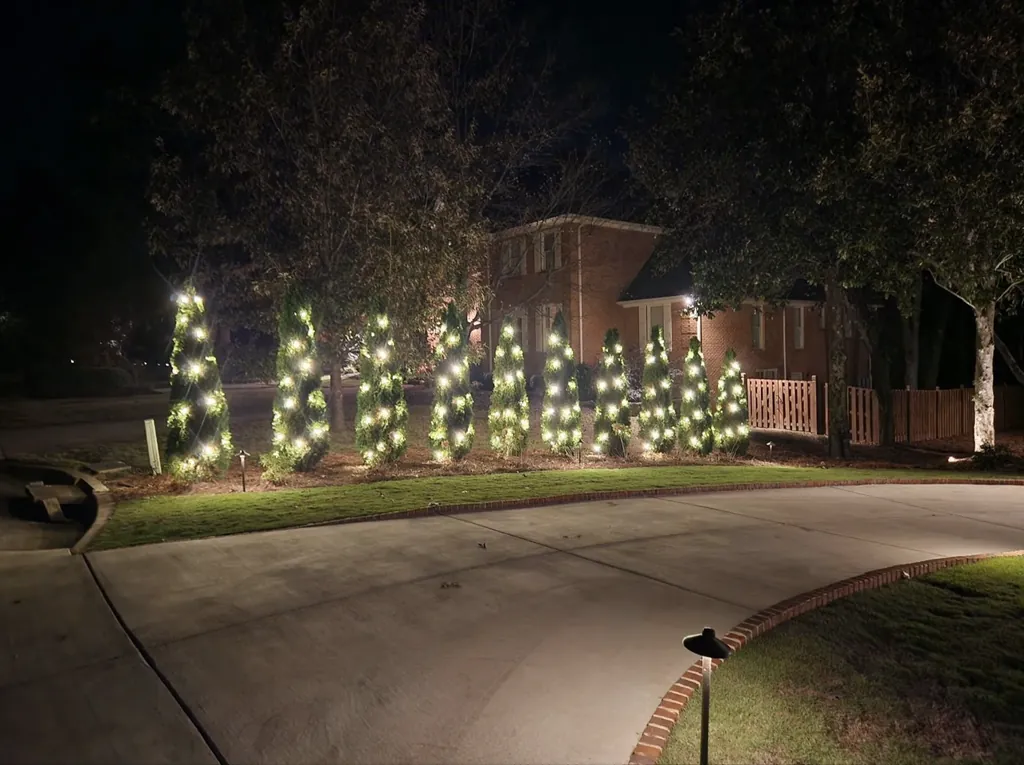 Spiral-wrapped evergreen trees lit with white lights beside a curved driveway at night.